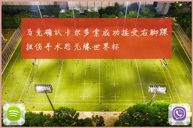 马竞确认卡尔多索成功接受右脚踝扭伤手术恐无缘世界杯