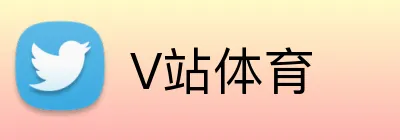 V站体育 logo